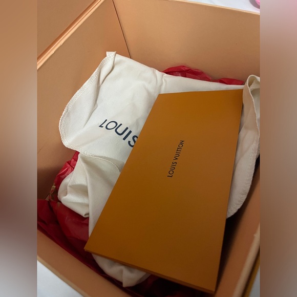 Louis vuitton Palm springs mini backpack - Picture 6 of 7